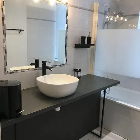 Bord De Tarn Apartment Albi